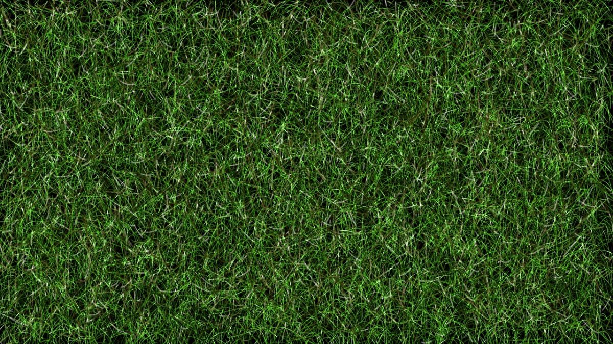 flattened artificial grass