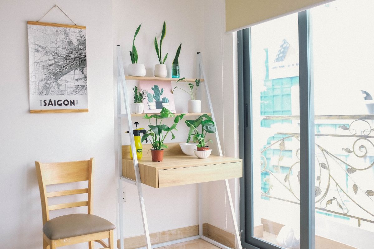 Shelf with indoor plants
