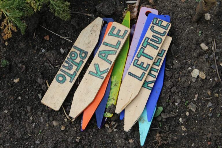 17 ideas de etiquetas y marcas de plantas de jardín de bricolaje
