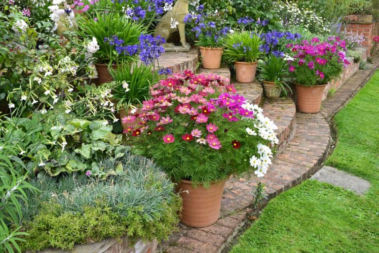 5 secretos de diseño para jardines en contenedores
