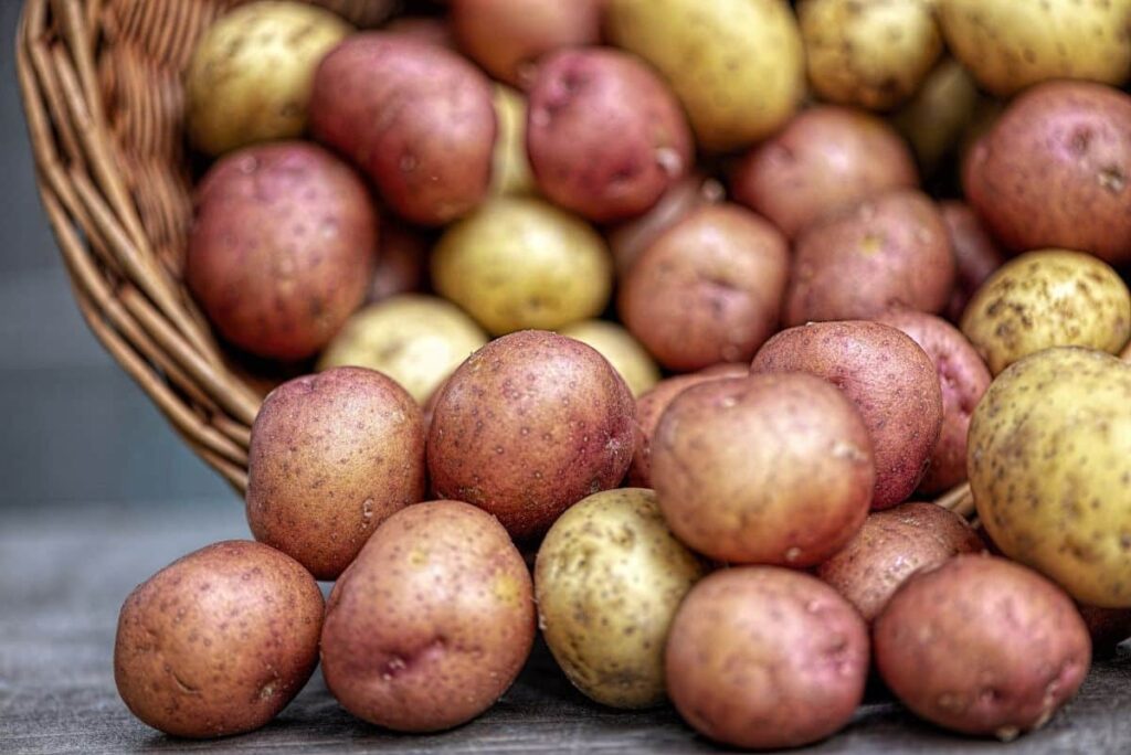 Variedades de patatas