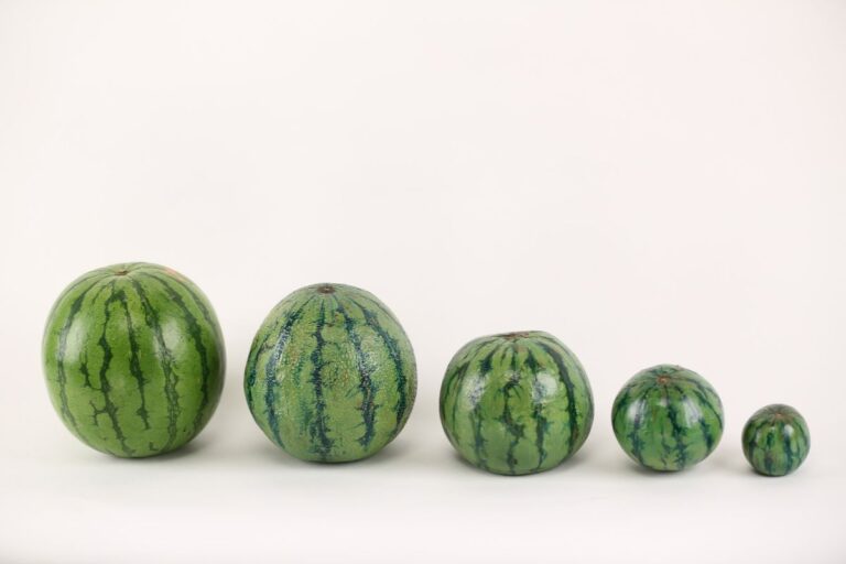 Sandia cuadrada
