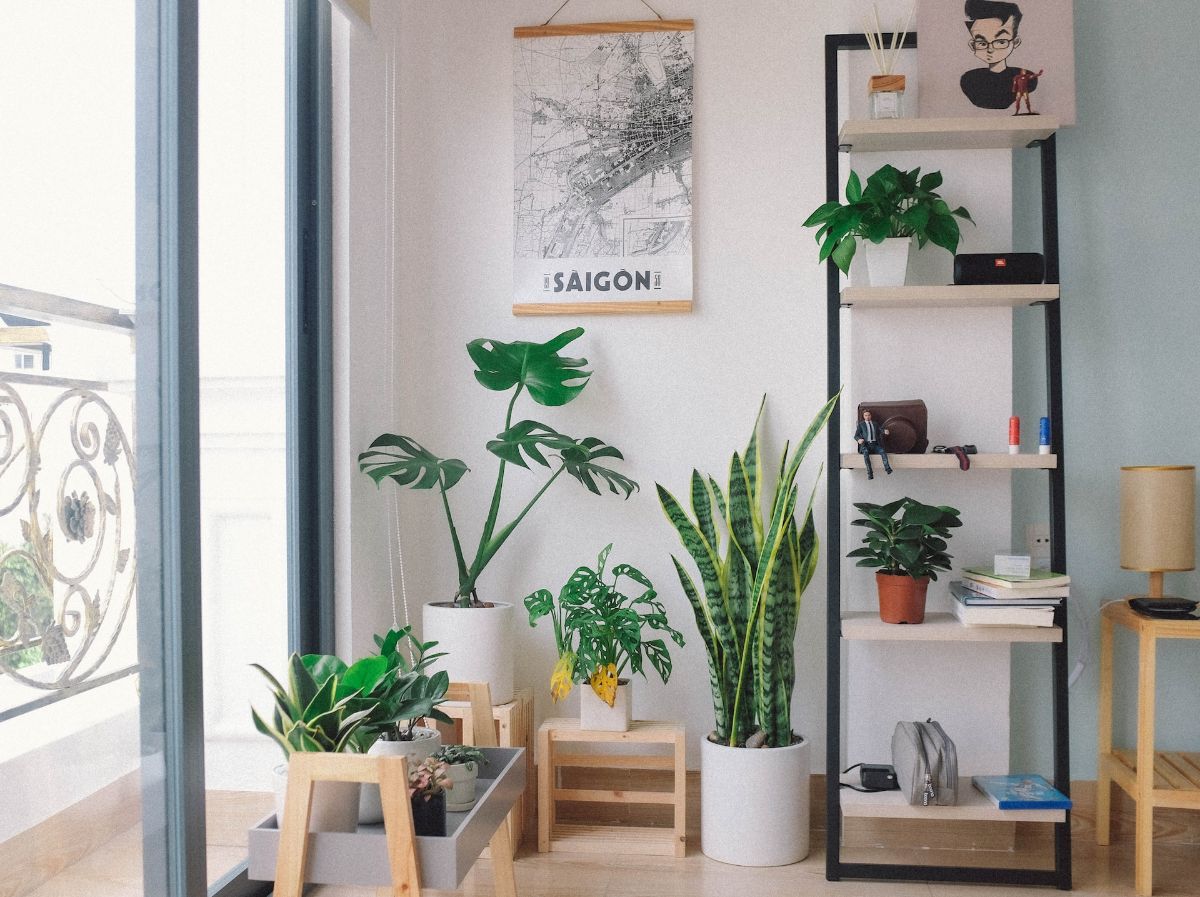 storage shelves