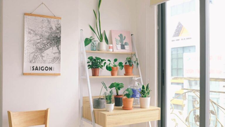 Plantas de interior peque&ntilde;as