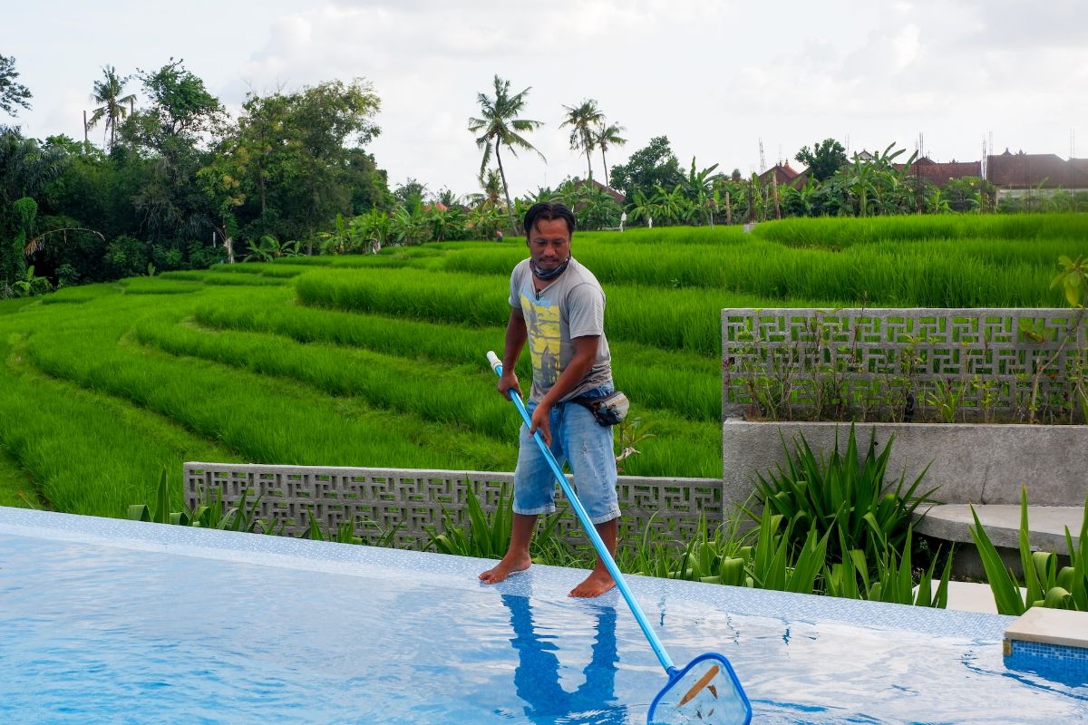 pool cleaner