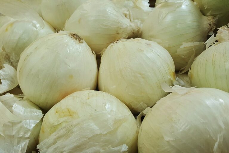 Las cebollas blancas tienen muchos beneficios