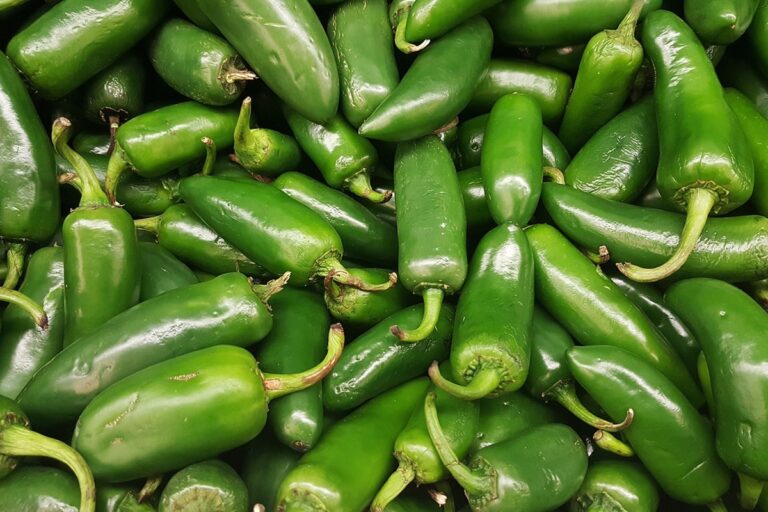 El chile jalape&ntilde;o tiene un nivel de picante mediano