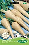 Germisem Guernsey Parsnip Seeds 5g, EC9030