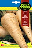 Semillas Fitó 101 - Medium Long Parsnip Seeds from...