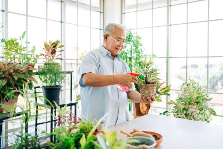 9 senior gardening ideas for apartments and interiors