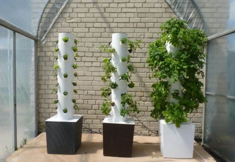 Cultivo aerop&oacute;nico Fuente_AgroHuerto