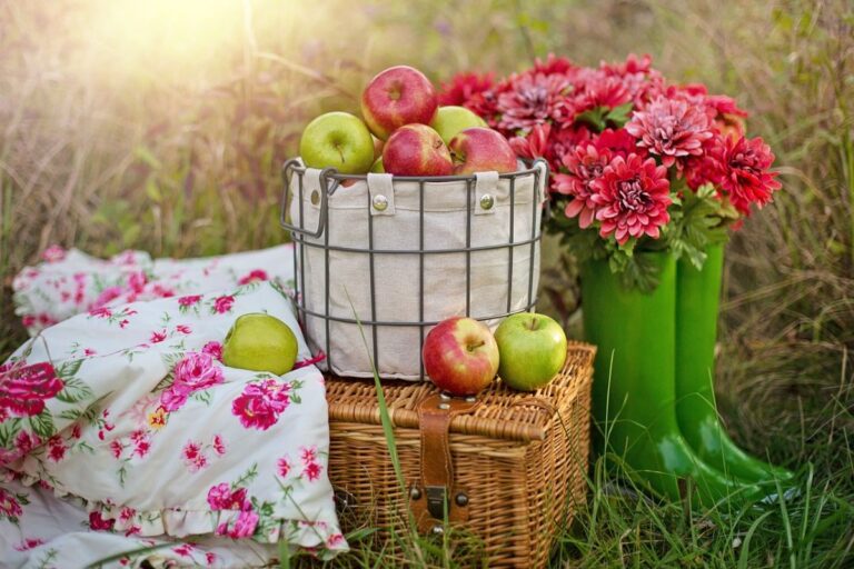 cesta picnic