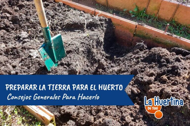 preparar la tierra para el huerto