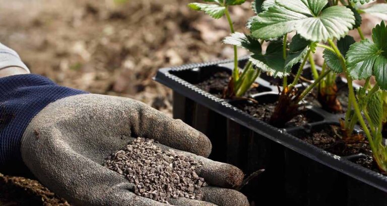 Aplicación de fertilizantes