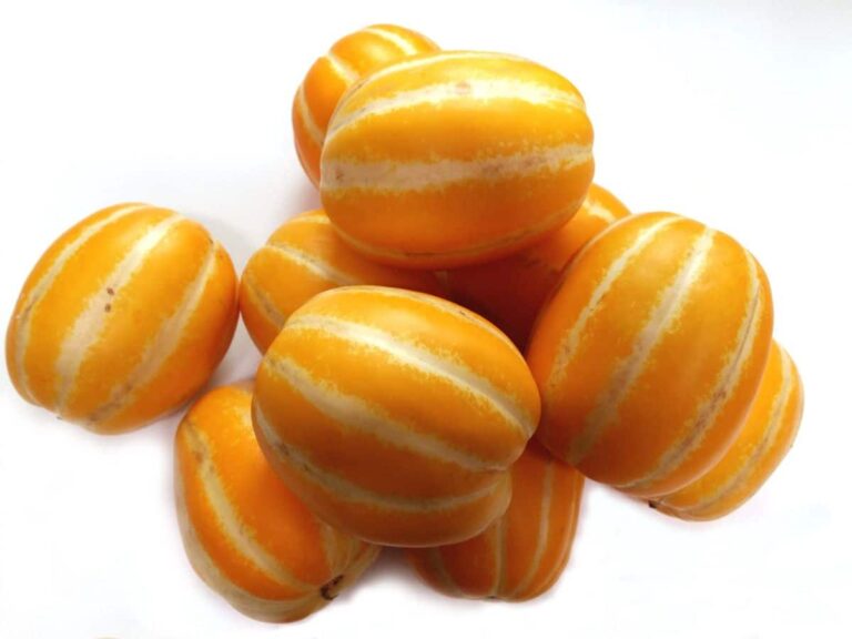Mel&oacute;n chino