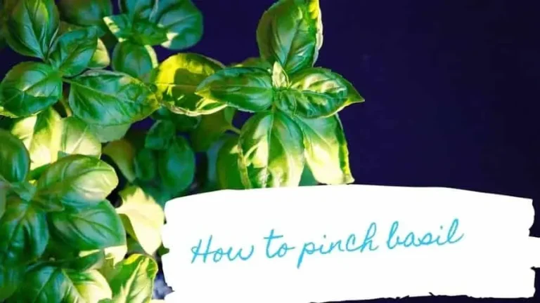 video instructions and time – ISPUZZLE