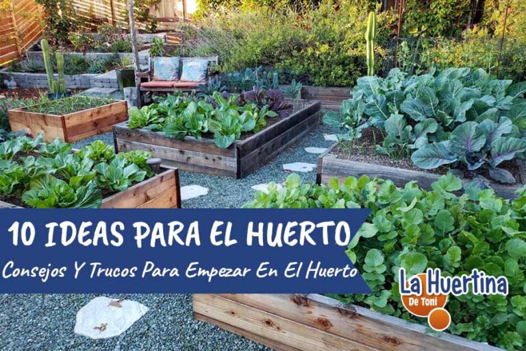 ideas para huertos
