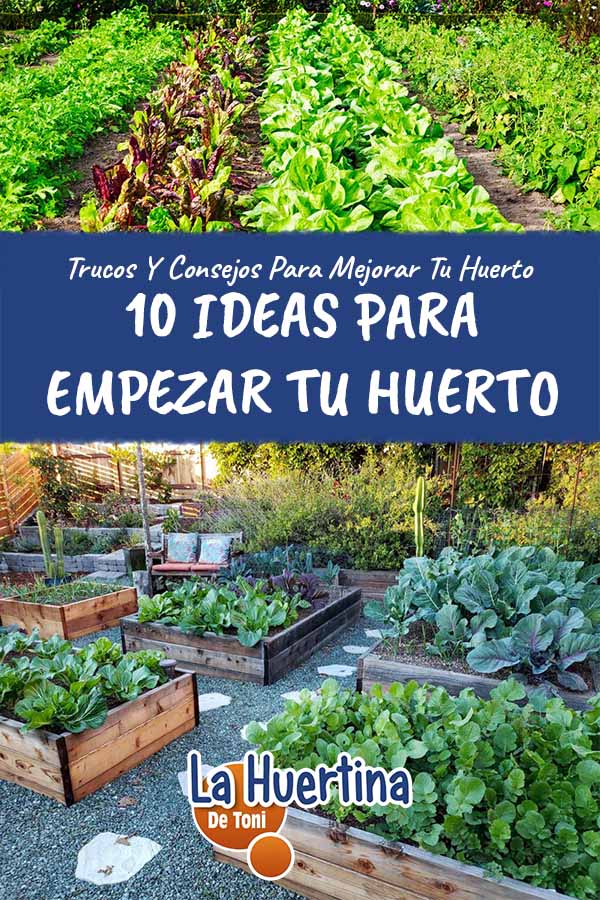 garden ideas