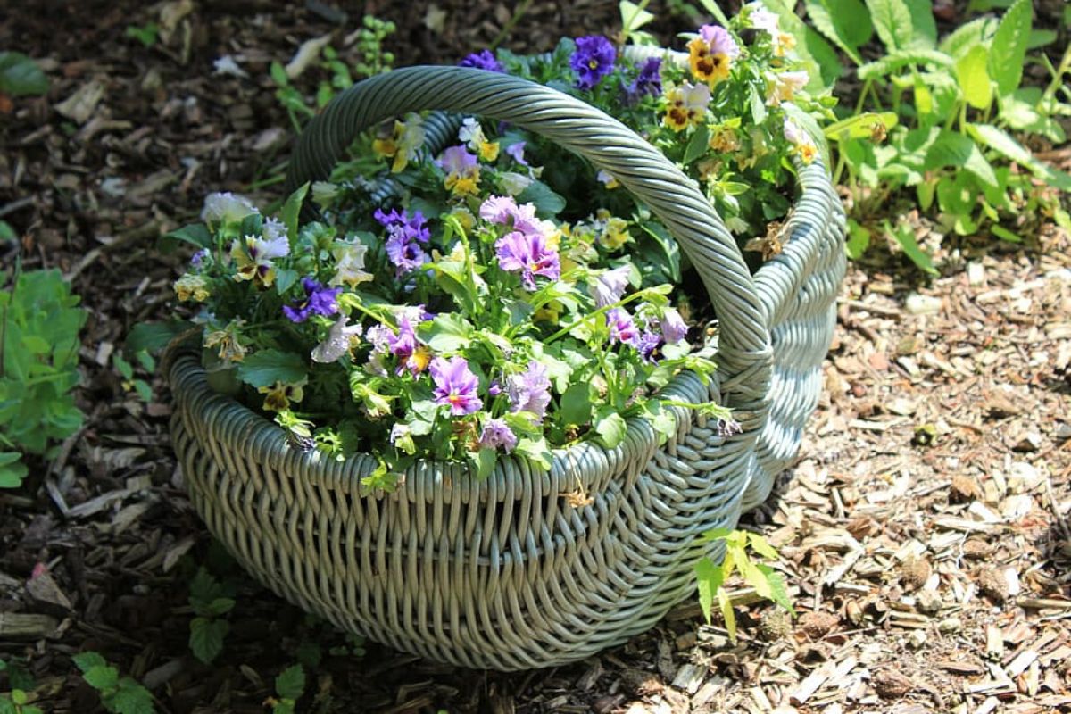 baskets