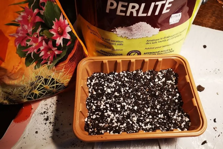 Can you add too much perlite to the soil?  Avoiding Perlite Traps – ISPUZZLE