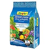 Cerastium tomentosum, a white ground cover 2 Nitroflower Multi-Purpose Granulated Nitrogen Fertilizer 7 kg Universal Blue, NPK Balanced, Ideal for Horticulture and Gardening, Nitrogen Fertilizer, Coconut Bark, Peat, 26.5x9x41.5 cm
