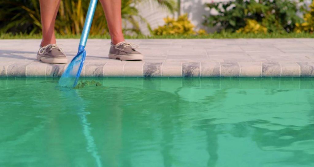 Dive into summer carefree: maintenance tips for your swimming pool 2 Clean cloudy pool water