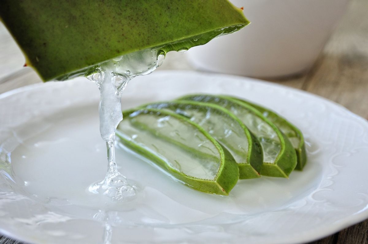 Which plants are anti-inflammatory