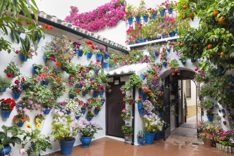 Jardines de pared para interiores