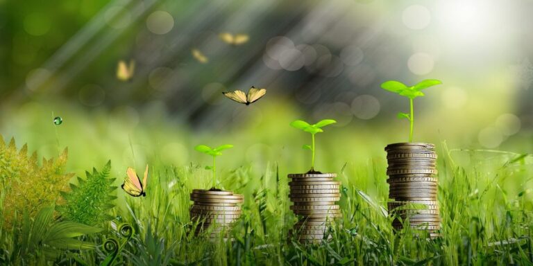 Plantas que atraen el dinero y la buena suerte