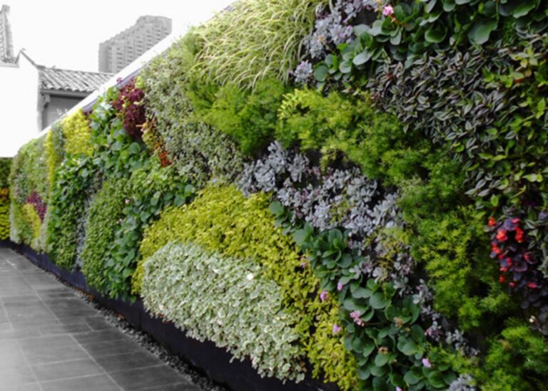 Dise&ntilde;ar jardines de pared Fuente: Casafe