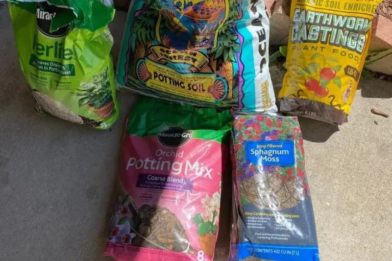 discover the ideal mixture for pots – ISPUZZLE