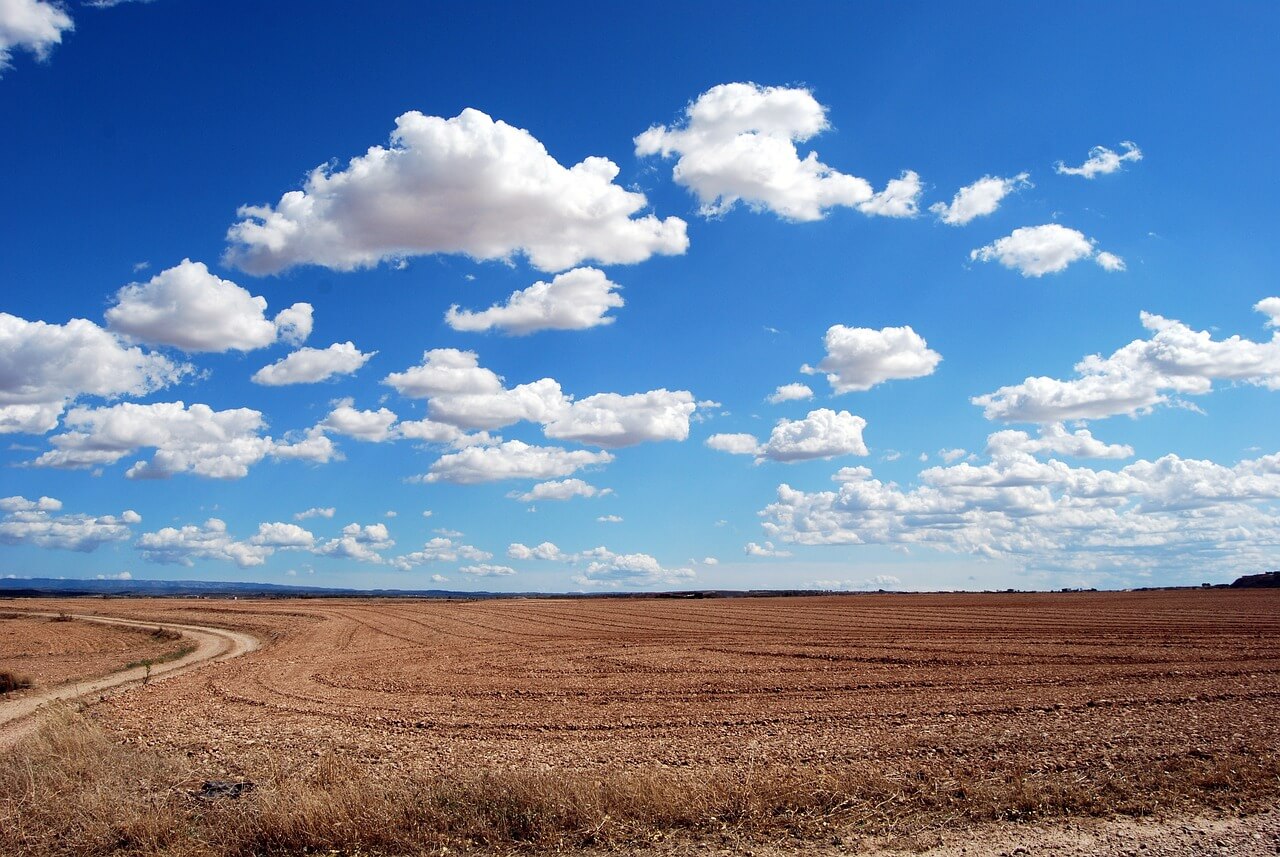 cultivated fields fertilized with biochar