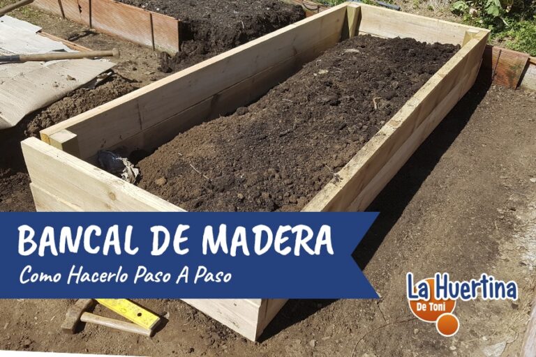 bancales de madera